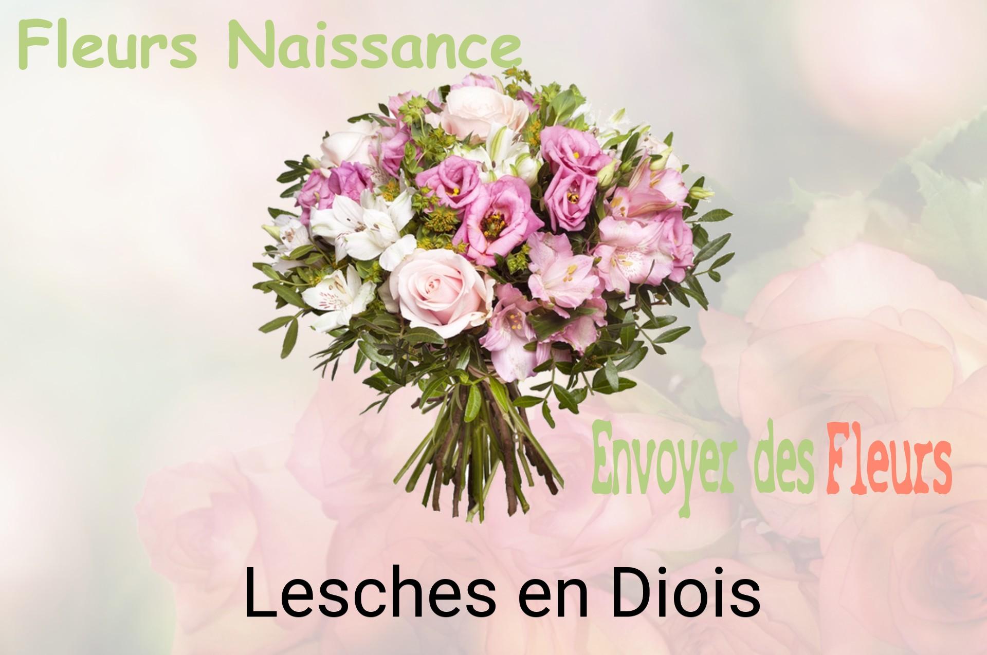 Bouquet de fleurs de naissance livré à Lesches-en-Diois